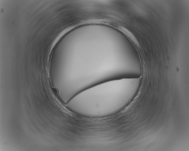 X0000073971436200608210932