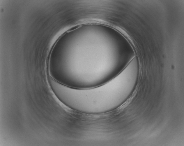 X0000073971438200608210932