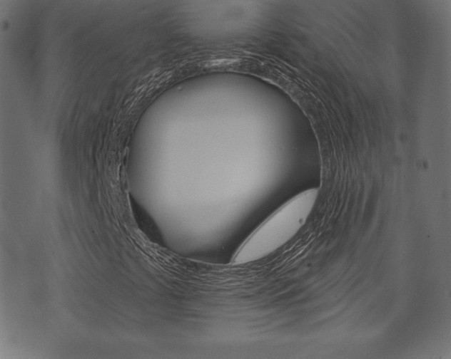 X0000073971441200608210932