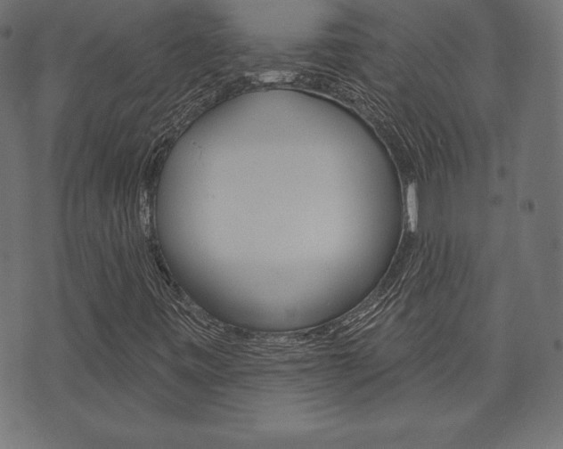X0000073971443200608210932