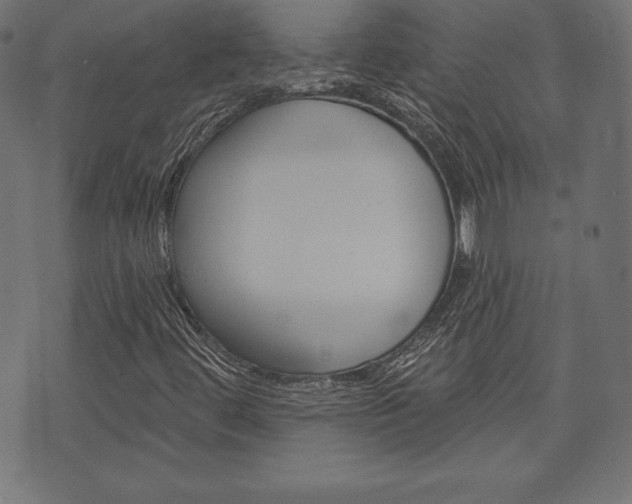 X0000073971444200608210932