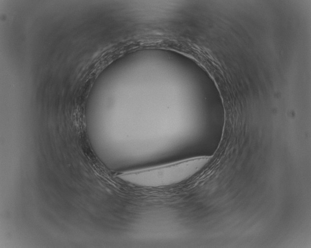 X0000073971445200608210932