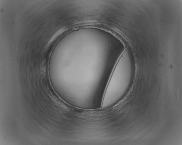 X0000073971450200608210931