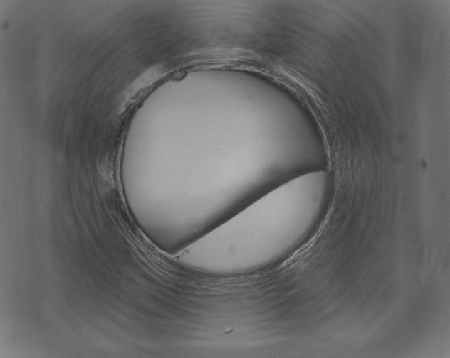 X0000073971451200608210931