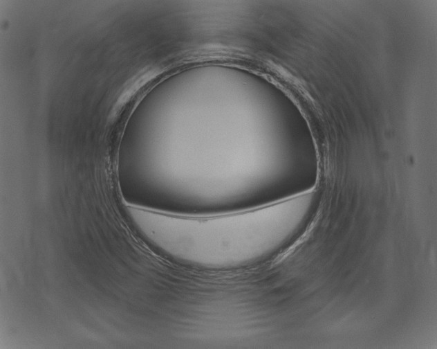 X0000073971453200608210931