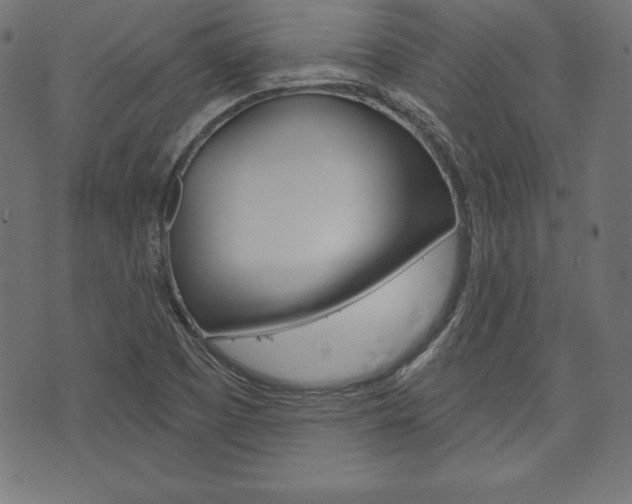 X0000073971457200608210931