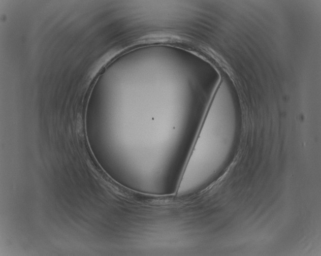 X0000073971465200608210931
