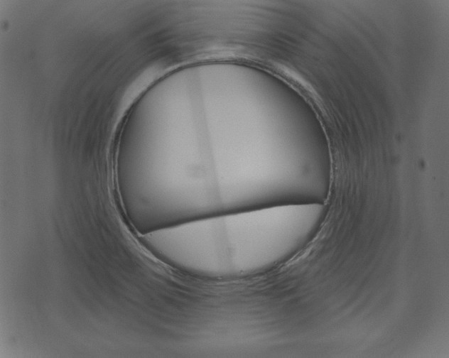 X0000073971467200608210931