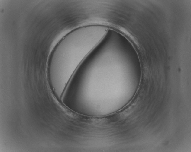 X0000073971469200608210931