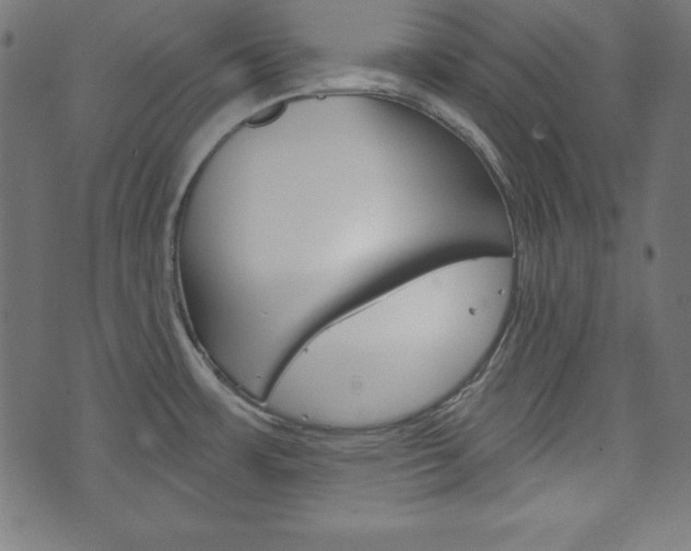 X0000073971483200608210931