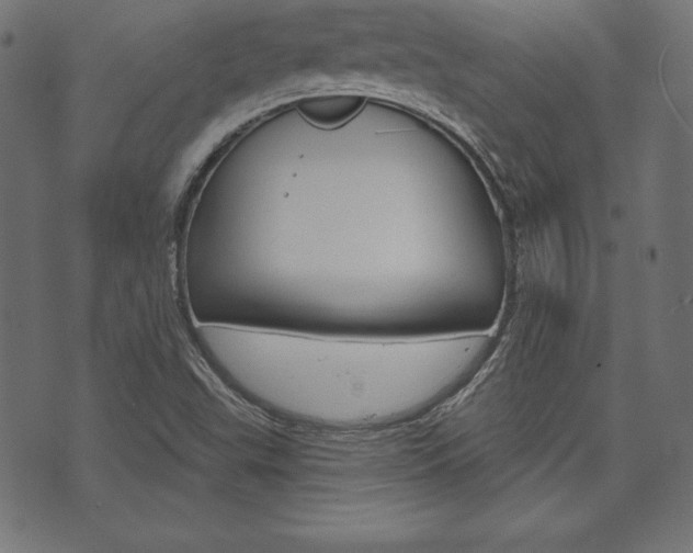 X0000073971503200608210930
