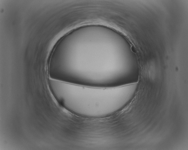 X0000073971519200608210931