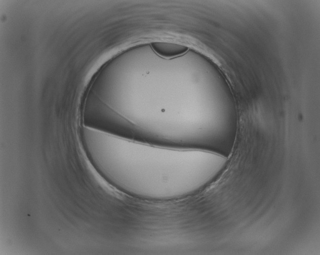 X0000073971523200608210931