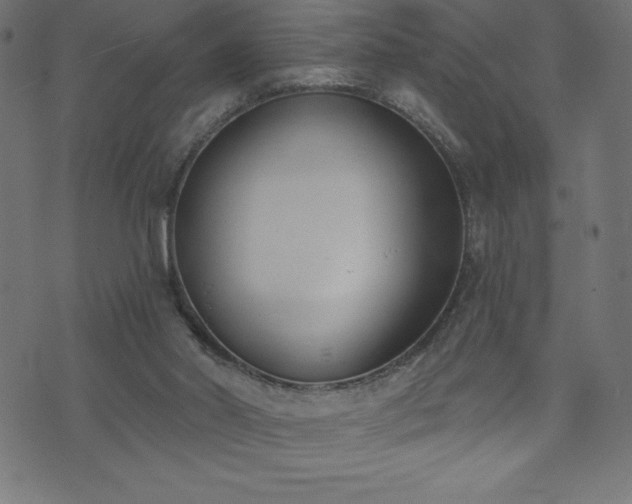 X0000073970014200608211241