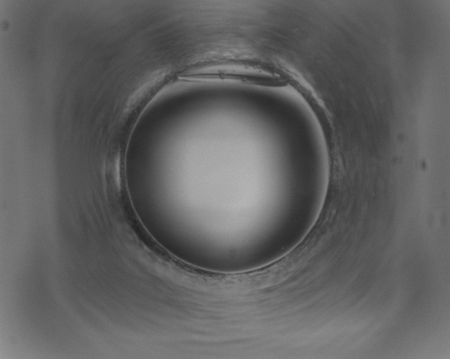 X0000073970019200608211241