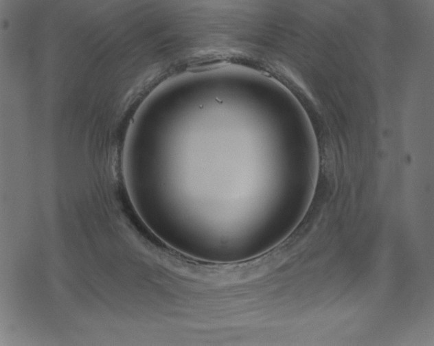 X0000073970023200608211241