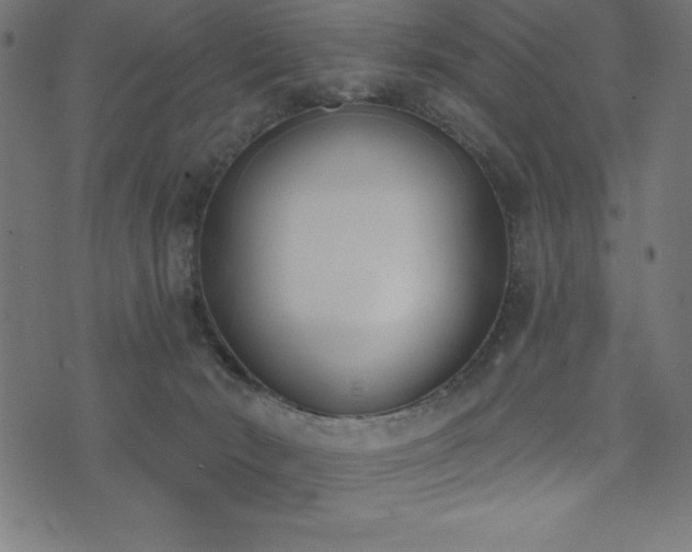 X0000073970030200608211241