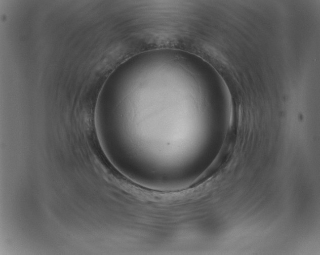 X0000073970039200608211241