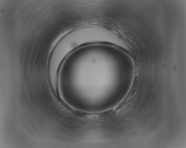 X0000073970052200608211240
