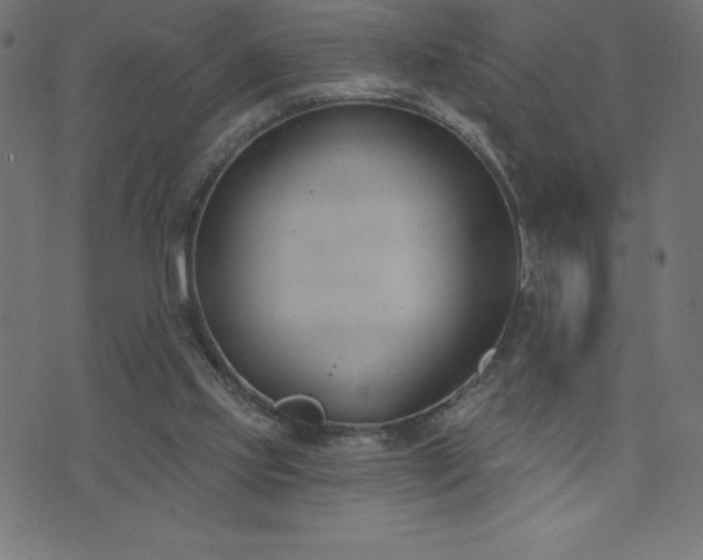 X0000073970061200608211240