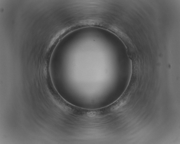 X0000073970064200608211240