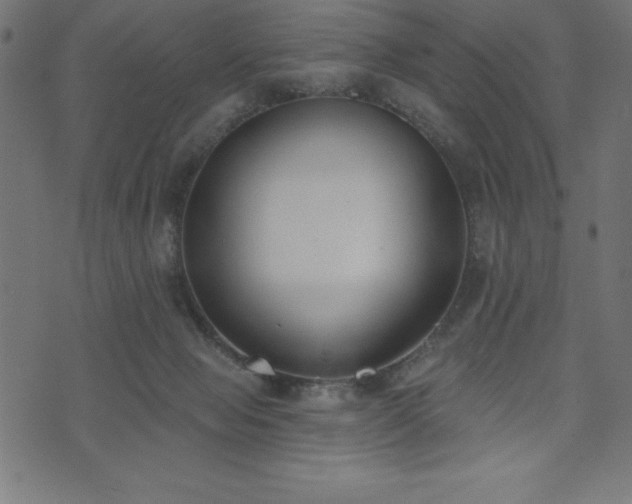 X0000073970077200608211240