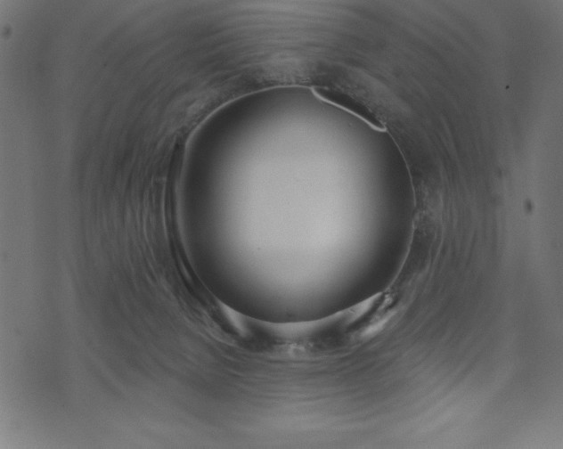 X0000073970080200608211240