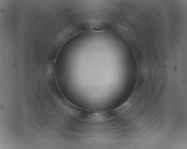 X0000073970082200608211240