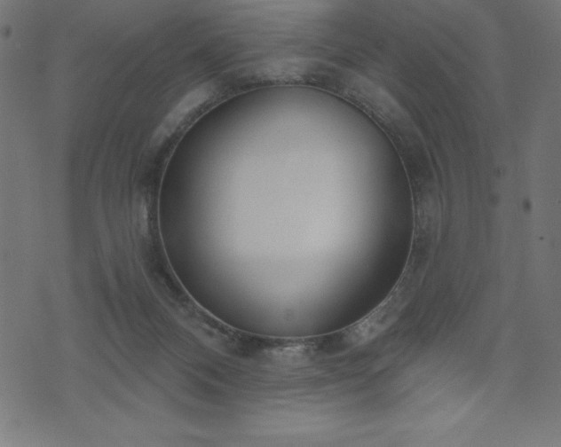 X0000073970120200608211240