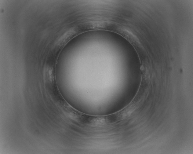 X0000073970123200608211239