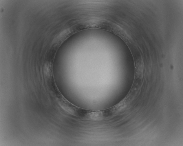X0000073970126200608211239