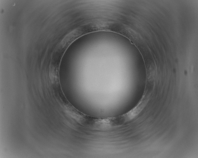 X0000073970140200608211239