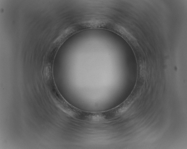 X0000073970165200608211239