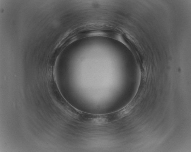 X0000073970168200608211239