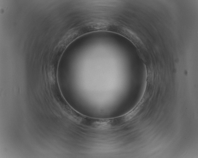 X0000073970170200608211239