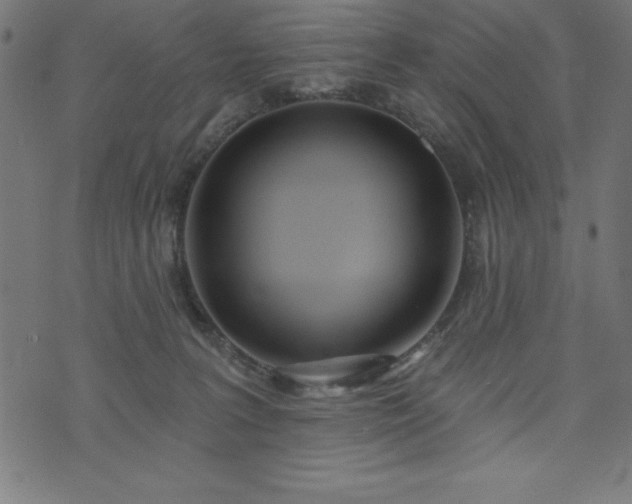 X0000073970227200608211238