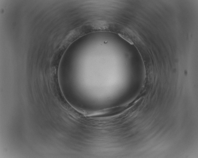 X0000073970229200608211238