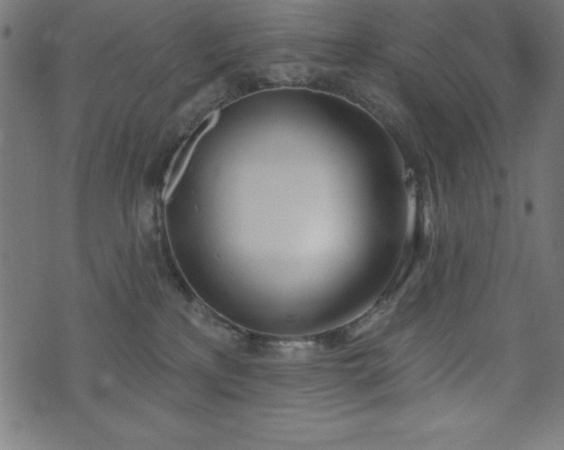 X0000073970233200608211238