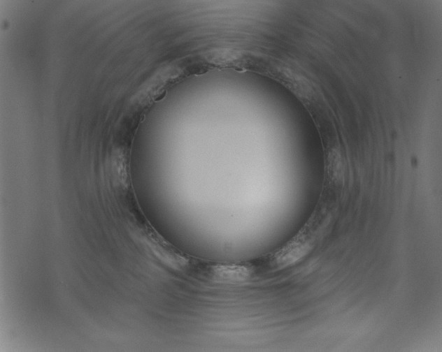 X0000073970234200608211238