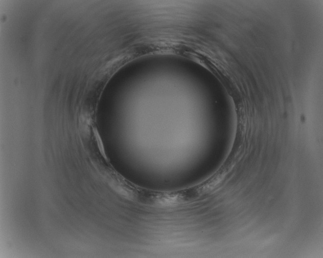 X0000073970235200608211238