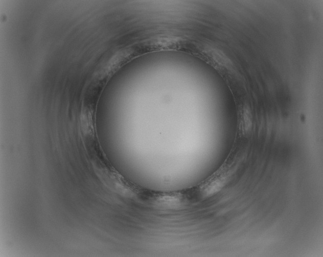 X0000073970236200608211238