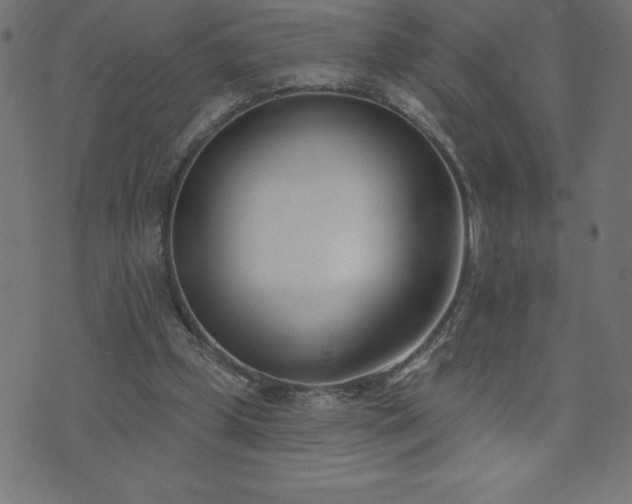 X0000073970249200608211237