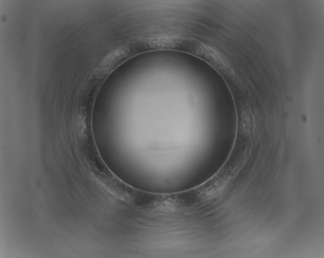 X0000073970259200608211237