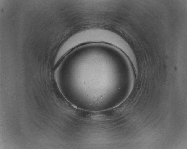 X0000073970268200608211237