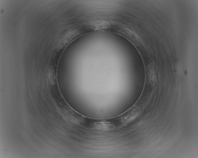 X0000073970316200608211236