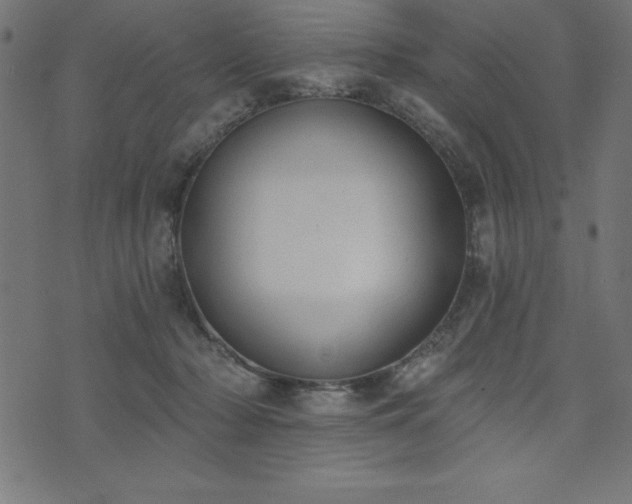X0000073970318200608211236