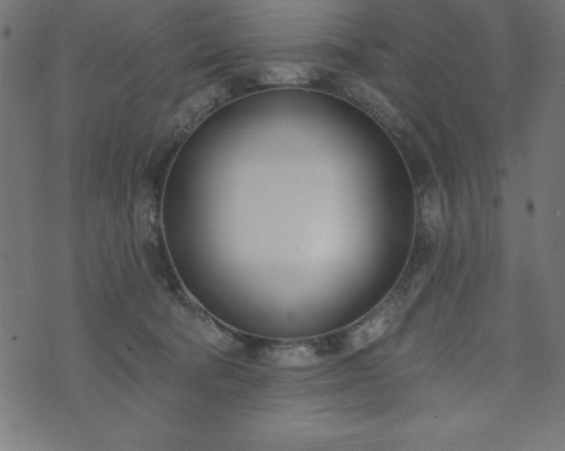 X0000073970322200608211236