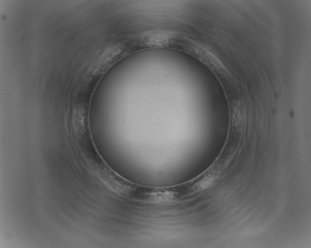 X0000073970363200608211236