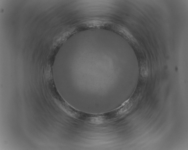 X0000073970411200608211235