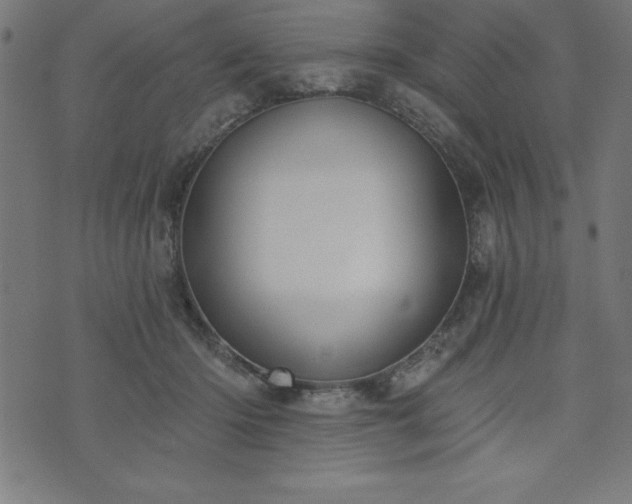 X0000073970414200608211235